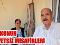 Balkonun Davetsiz Misafirleri