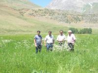 Ovacık’ta üreticiler birlik oluyor