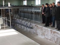 Keçi Çiftliği Projesi Hayata Geçiriliyor