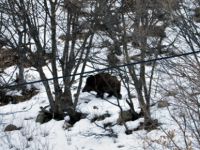 Ovacık'ta Soğuk Hava Etkili Oluyor