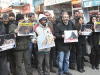 Tunceli’de kaçak av tepkisi