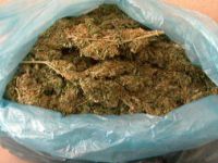 Tunceli'de Kasım ayında 322 Gram Esrar Ele Geçirildi