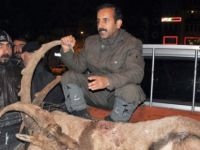 Vali Güner, İnanç yerleri ve dağ keçileri için çalışma başlattı