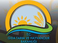 GAP ve DAP Başvuruları Başlıyor