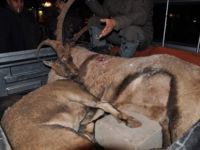 Vali Güner'den 'Av Yasaklansın' Talimatı