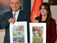 Tunceli’de iki yeni Kenger türü tespit edildi