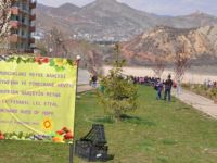 Belediye ve Ekoloji Komisyonu Fidan Dikti