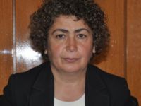 Eş Başkan Altun’dan, Bingöl Belediye Başkanına tepki