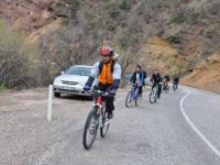 Pedallar, Bağımsızlığa Çevrildi