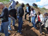 Tunceli Belediyesi ve DEDEF, Berkin Elvan anısına ağaç dikti