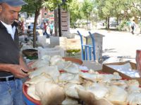 'Kunkor Mantarı“ Cep Yakıyor