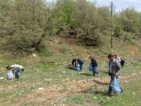 Munzur ve Pülümür vadisinde temizlik çalışması başladı