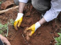 Dersim’de her yerden kemik fışkırıyor!
