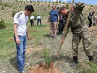 Çemişgezek’te Ağaçlandırma Çalışmaları