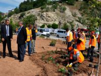 Yeşillendirme Çalışmaları Sürüyor