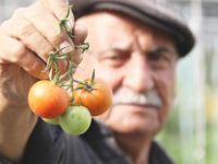 ÇEMİŞGEZEK’TE BİR EMEĞİN HİKÂYESİ