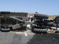 Çemişgezek'te Trafik Kazası: 1 Ölü, 2 Yaralı