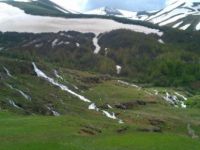 Regülatör ve Hes Projesine Durdurma