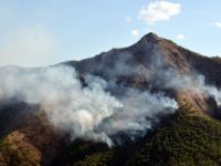 Tunceli'de Orman Yangını