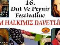 Çemişgezek Dut ve Peynir Festivali