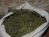 Tunceli'de Uyuşturucu Operasyonu