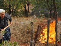 Tunceli'de korkutan yangın