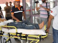 Tunceli'de ayının saldırısına uğrayan kişi yaralandı