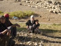 Şavaklılar, dönüş yolunda