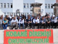 Belediye başkanlarından Kobani’ye destek