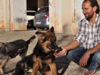 Beli kırılan köpeğe “yürüteç“li destek