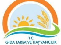 Proje Teknik Elemanı alınacak!