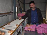 Tuncelili yumurtacıdan kapasite artırımı