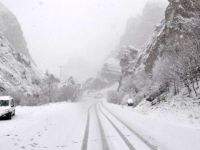 Dersim’de kar yağışı vatandaşları sevindirdi