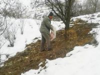 Çemişgezek’te Yaban Hayvanları İçin Doğaya Yem Bırakıldı