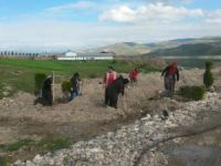 Akpazar’a 1000 fidan dikildi