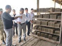 Vali Kaymak, Akpazar tuğla fabrikasını gezdi