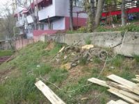 Zarife Hatun Parkında ağaç kesimine tepki!
