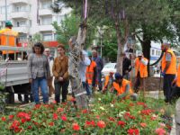 Yeşil Alanlara İki Bin Bitki Dikimi Yapıldı