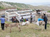 Çemişgezek’te Şavaklılar Yayla Yolllarına Koyuldu