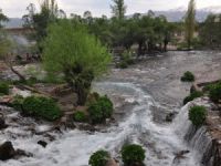 Gözelerin Suyu Dersim’e getirilecek