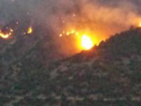 Dersim’deki yangın kontrol altına alındı