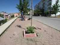 Hozat’ta yeşillendirme çalışmaları sürüyor