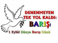 Dersim İl Genel Meclisinden açıklama