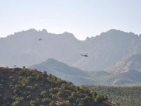 Dersim'de Bayram Sabahı Özel Harekat Polislerine Saldırı