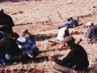 Çemişgezek’te Badem Fidanı toprakla buluşturuluyor