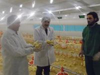 İki tesisin yapımı tamamlandı