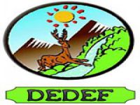 DEDEF'ten soruşturma tepkisi