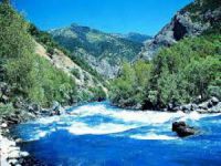 Barajlara onay kararına tepkiler sürüyor