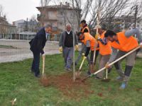 Yeşillendirme Çalışmaları Devam Ediyor