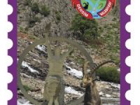 "Dersim Belediyesi" ifadeli Pul, PTT tarafından uygun görülmedi